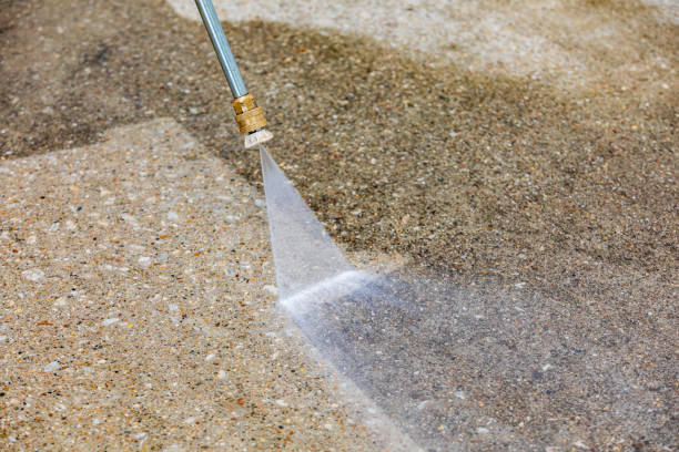 Best Gutter Cleaning  in Woodson Terrace, MO