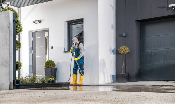 Best Roof Washing  in Woodson Terrace, MO